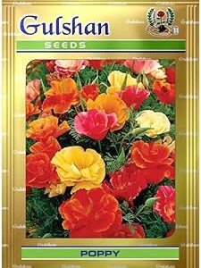 Gulshan Seed Farm Poppy Flower Seeds – Colorful Blooms for Home Garden, Terrace & Balcony | Easy to Grow Annuals for Winter & Spring | Ideal for Pots, Beds & Borders