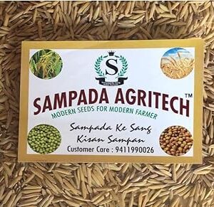 Sampada Agritech | Pusa Basmati Paddy Seeds 1692 | Dhan, Rice & Paddy Seeds for Farming & Agriculture (Kheti) | 6 Kg