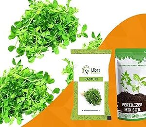 Vegetable Seeds | Fenugreek | Farming | Home | Garden | Kitchen | Hybrid | Planting | Terrace | Balcony | Eating | Methi | Trigonella Foenum Graecum - 40 Gram : 2024 Seed