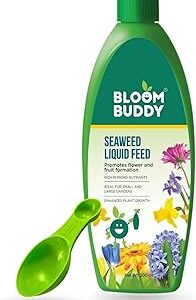 Bloombuddy Organic Seaweed Extract Liquid Fertilizer, 200 Ml - Growth Promoter Supplement for all Indoor & Outdoor Plants