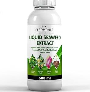 FEROMONES Pure Seaweed Extract - Organic and Water Soluble - for All Indoor and Outdoor Plants - for Home Gardening (500 ML)