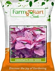 FARMGO ~ 250 Grams AMRANTHUS | AMARNATH | CHAULAI | KEERAI (RED) SEEDS | Lal Saag, | Vegetable Seeds for Home Gardening, Farming, Hydroponics and Poly Houses