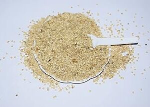 SVE Grafted plant seed/Eggplant seed/Turkey berry seed/Solanum Torvum seed can be Used for Grafting brinjal and Used as Vegetable pack of (2000)