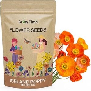 Growtime Iceland Poppy Mix Flower Seeds, Flower Seeds for Home Gardening, Flower Planting Seeds for Kitchen, Iceland Poppy Mix Seeds (Pack of 50 Seeds)