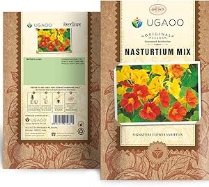 UGAOO Nasturtium Flower Seeds (Multicolour, Pack of 20)