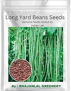 Bhajanlal Greenery Vegetable Seeds Rare Hybrid Yard Long Bean Anaswara Variety Cowpea Seeds | 1 Packet : 50+Seeds