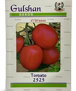 GULSHAN SEED FARM F1 Hybrid Tomato Seeds | Hybrid, High Germination Round Tamatar Seeds for Home, Kitchen Gardens, Pots, Patio & Terrace – Ideal for Fresh, Healthy Harvests
