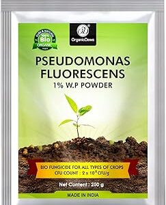OrganicDews Pseudomonas Fluorescens Powder(2x10^8 CFU/g) 250g for Seeds and Garden Plants - Against Root/Stem Rot, Wilt Fungal Dieases 250g