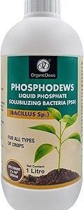 OrganicDews Phosphate Solubilizing Bacteria PSB (2x10^8 CFU/ML) Bio Inoculum Fertilizer (1 litre) for Plants - Faster Root Growth and Better Nutrient Uptake - Phosphodews 1 Litre