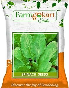 Farmgokart | 100 Grams - SPINACH (PALAK) SEEDS | Perfect for Home Gardening, Open Farming and Poly House Farming