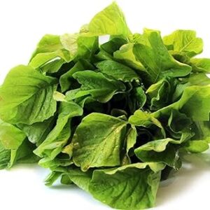 Green Leaf Amaranthus Hybrid Seeds for Quick Growth and High Yield – Pack of 7000 PCS