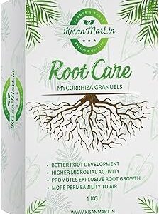 Kisanmart Root Care VAM Mycorrhiza 500g | Advanced Root Growth Enhancer | Improves Nutrient Absorption, Soil Health & Plant Immunity | Ideal for Vegetables, Flowers & Fruit Plants