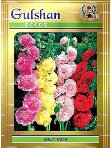 Gulshan Seed Farm Hollyhock Flower Seeds – Tall, Colorful Blooms for Home Garden, Terrace & Balcony | Easy to Grow Winter Annuals | Perfect for Borders, Walls & Pots