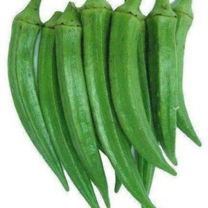 Cloud Farm High Yield Lady Finger Hybrid F1 Supreme See...