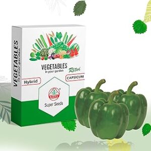 Super Seeds RITVI Hybrid Capsicum Seeds/Shimla Mirch Beej for Home Gardening, Kitchen Garden & Planting (1g, 15 Seeds) - Dark Green, High Yield, Urban Friendly