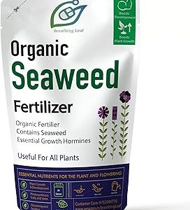 breathingLeaf Organic Ocean Magic Seaweed for Gardening Plants | Vegetables, Natural Growth Hormones (900 gm)