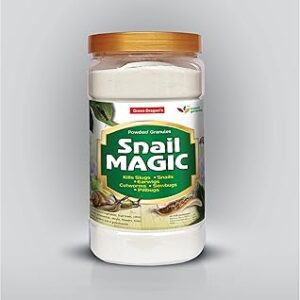 Green Dragon's Home Solutions | Natural & Organic | SNAIL MAGIC, Garden Slug & Snail Killer Powder - 1600G