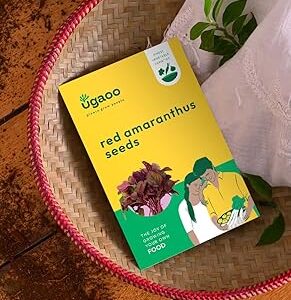 UGAOO Red Amaranthus Vegetable Seeds (Pack of 10g)