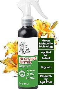 Pot and Bloom Mealy Bug Buster Spray 250 ML | Natural Germs and Fungus Killer for Plants| No Harmful Chemicals| Indoor & Outdoor Plants| Ready to Use|Helps in Plant Growth