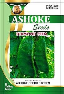 ASHOKE Seeds Papdi Seeds Seam Seeds High Germination Seem Seeds (Pack of 25 seeds)