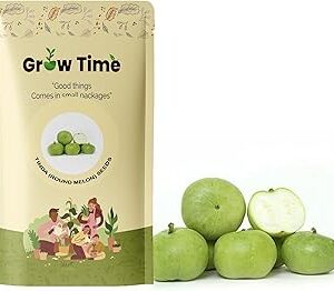 Growtime Tinda (Round Melon) Vegetable Seeds, Vegetable Seeds for Home Gardening, Vegetable Planting Seeds for Kitchen, Tinda (Round Melon) Seeds (Green, Pack of 4g)