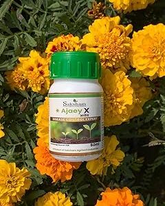 Saksham Agritech Industries - Ajaey X Disease Control Expert - Bio-Fungicide - 50ml | Effective Fungus & Disease Control for All Crops, Farming, Indoor & Outdoor Plants | Liquid Bio-fungicide (50ml)