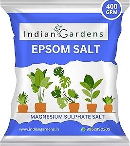 Indian Gardens - Epsom Salt Fertilizer For Plants | Epsom for plants | Magnesium sulfate fertilizer | Epsom salt plant booster | Garden Epsom salt - 400 Grams