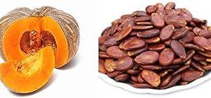 50 PICS RED PUMPKIN SEEDS ORGANIC HYBRID OUTDOOR GARDEN LIVE VEGETABLE BIG ALL TIME