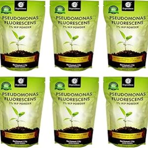 OrganicDews Pseudomonas Fluorescens Powder(2x10^8 CFU/g) (6 kg) for Seeds and Garden Plants - Against Root/Stem Rot, Wilt Fungal Dieases 6 kg