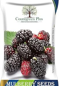 Countgreen Plus Organic Mulberry Seeds (Sehtut) – Non-GMO, Pack of 200, Ideal for Home, Garden, Terrace, and Balcony Planting, All-Season Growing Fruit Seeds