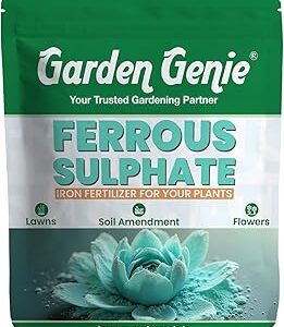 Garden Genie Ferrous Sulphate Fertilizer For Plants 200Gm | Iron-Rich Micronutrient Supplement | Enhances Greener Leaves & Healthy Plant Growth | For Indoor & Outdoor Use,Powder