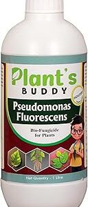 PLANT'S BUDDY Pseudomonas Fluorescens Liquid - 1Litre (2×10⁹ CFU/ml) | Natural Bio-fungicide for plants home garden for Broad-Spectrum Fungal Disease Control | Bio - fungicide | Easy Application