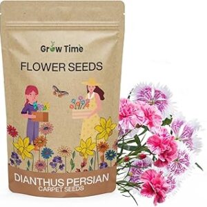 Growtime Dianthus Persian Carpet Flower Seeds, Flower Seeds for Home Gardening, Flower Planting Seeds for Kitchen, Dianthus Persian Carpet Seeds (Pack of 50 Seeds)