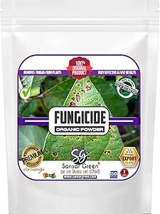Sansar Green® Organic Fungus remover used to kill parasitic fungi or their spores (50 gm)