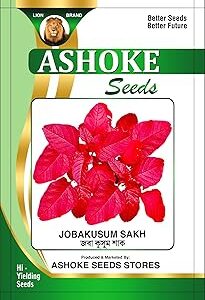 ASHOKE Seeds Rajgira Seeds – Hybrid Variety for Nutrient-Rich Leaves (Pack of 1000+ seeds)