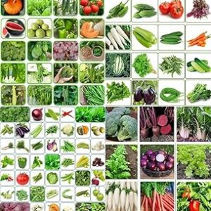 High breed vegetable seeds beez Exotic Hybrid vegetable seeds Mix organic vegetable seeds 250