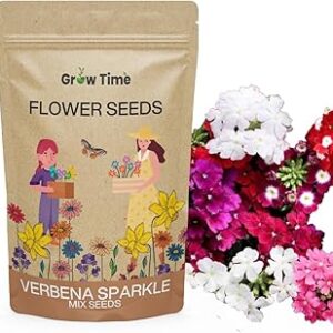 Growtime Verbena Sparkle Flower Seeds, Flower Seeds for Home Gardening, Flower Planting Seeds for Kitchen, Verbena Sparkle Seeds (Pack of 50 Seeds)