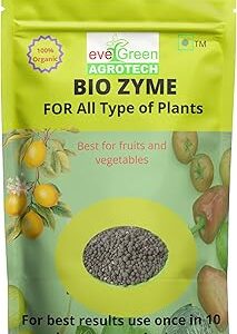 Evergreen Agro Tech Bio Zyme Granules for All Plants, 900 grams