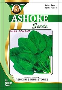 ASHOKE Seeds Hybrid Spinach Seeds – Fast-Growing & High-Yielding Variety (Pack of 250 seeds)