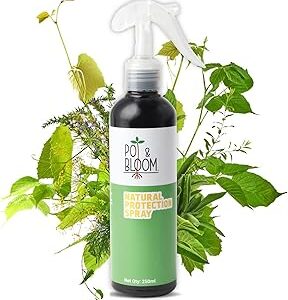 Pot And Bloom Natural Protection Spray For Plants| 250 ml, For Home Garden| Organic Neem Oil Plant Protectant| Natural Insecticide and Pest Control Spray for Plants| Fungus, Insects Control