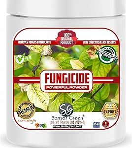 Sansar Green® Fungus Remover Premium Super Powerful Powder for removing fungus from Plants (100 gm)