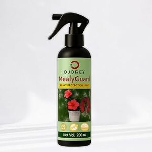 OJOREY MealyGuard 200ml – Mealybug & Fungus Killer Spray | 100% Herbal Actives & No Chemicals | Safe for Indoor & Outdoor Plants (Pack of 1)