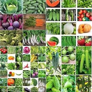 High breed vegetable seeds beez, Exotic Hybrid vegetable seeds Mix organic vegetable seeds 50