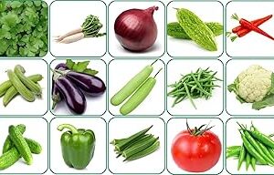 Aero Seeds 15 variety vegetable seeds combo pack with instruction manual.