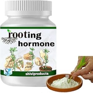 Shiviproducts Rooting Hormone powder for plants cuttings (50g)| Promotes Rooting and Growth | New Plants from Cuttings
