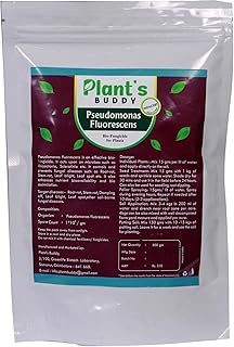 PLANT'S BUDDY Pseudomonas Fluorescens Powder 500g (1×10⁸ CFU/g) | Organic Bio- Fungicide for Plants Home Garden | Controls Root Rot, Leaf Spot, Mildew, Blight | Bio Fungicide Powder for Plants