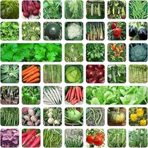 ONLY FOR ORGANIC 45 Variety Of Vegetable Seeds With Instruction Manual