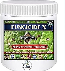 Erwon® Fungus remvoer- X, Premium Essential Powerful Organic Fungus Remover from all Plants (15 gm)
