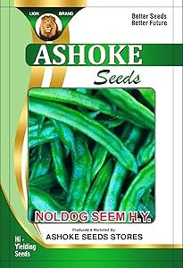 ASHOKE Seeds Organic Seam Seeds Fresh Green Seam Seeds for Farming (Pack of 25 seeds)