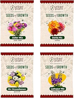 Urban Plant Aster, Dahlia Mix, Chrysanthemum Mix, Larkspur Flower Seeds Combo | 4 Packet Bundle for Pots, Balcony, Terrace, Home & Kitchen Gardening